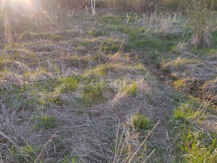 Участок 8 сот. (СНТ, ДНП)