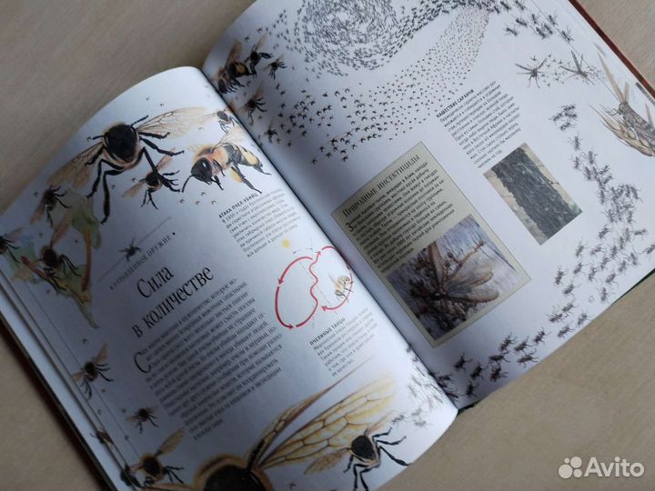 Энциклопедия самые опасные животные мира