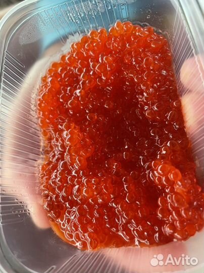 Красная икра нерка, горбуша, кижуч, кета