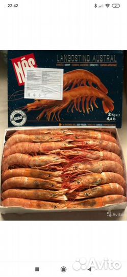 Лангустины с головой