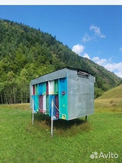 Пчелоповильон