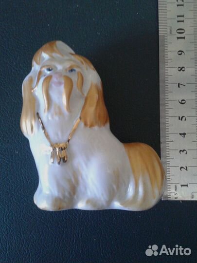 Фарфоровая статуэтка. Болонка