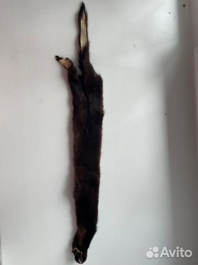 Мех норки шкурки