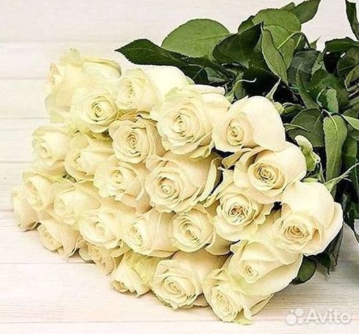 Розы Цветы Букеты 25 51 151 201 101 301 501 опт