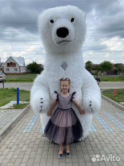 Белый мишка поздравления/мишка аниматор/аниматоры