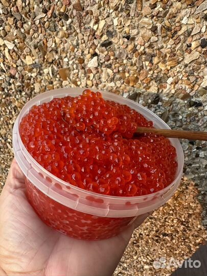 Красная икра 2023