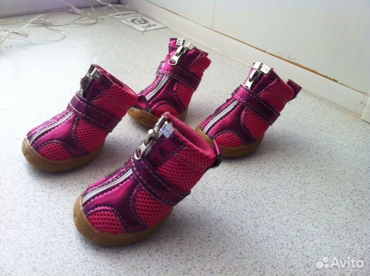 Ботинки для собаки. Новые