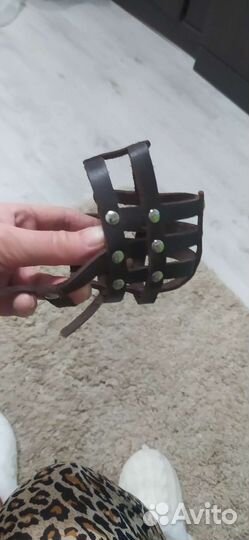 Намордник для собаки средних пород