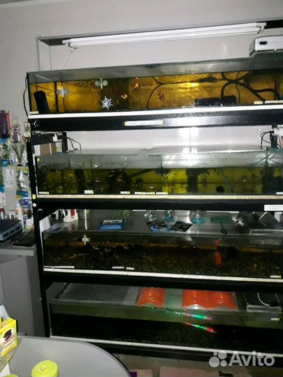 Аквариумная стойка