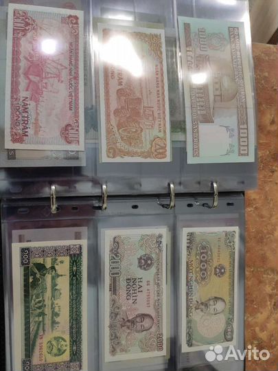 Коллекция монет и банкнот