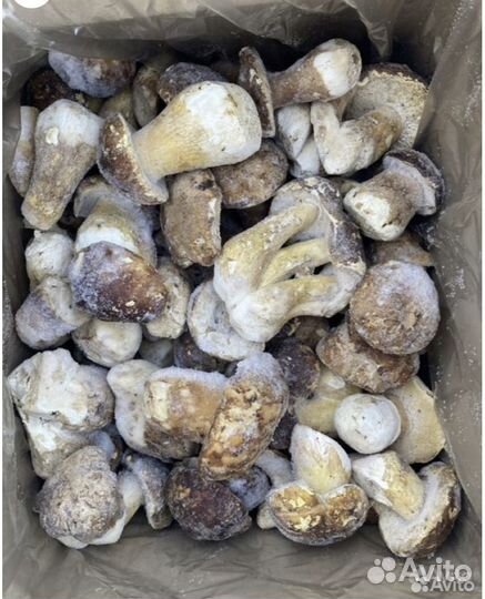 Грибы белые замороженные