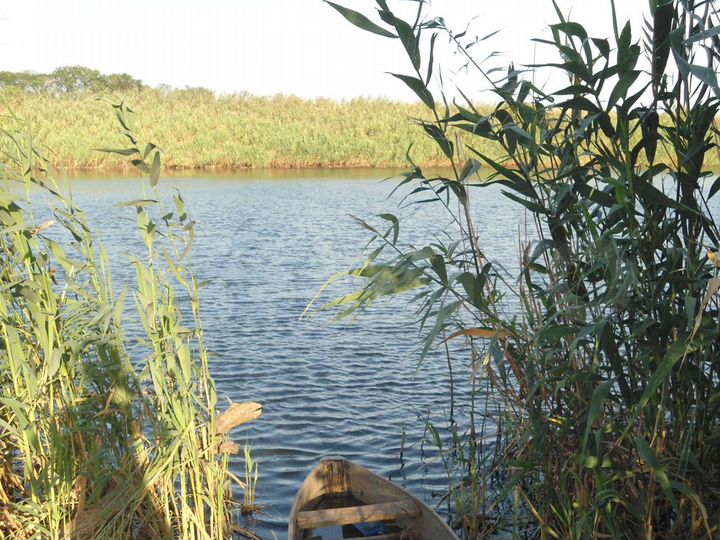 Участок 14 сот. (ИЖС)