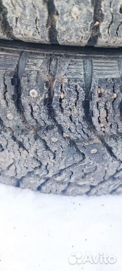 Cordiant Snow Cross 2 195/65 R15