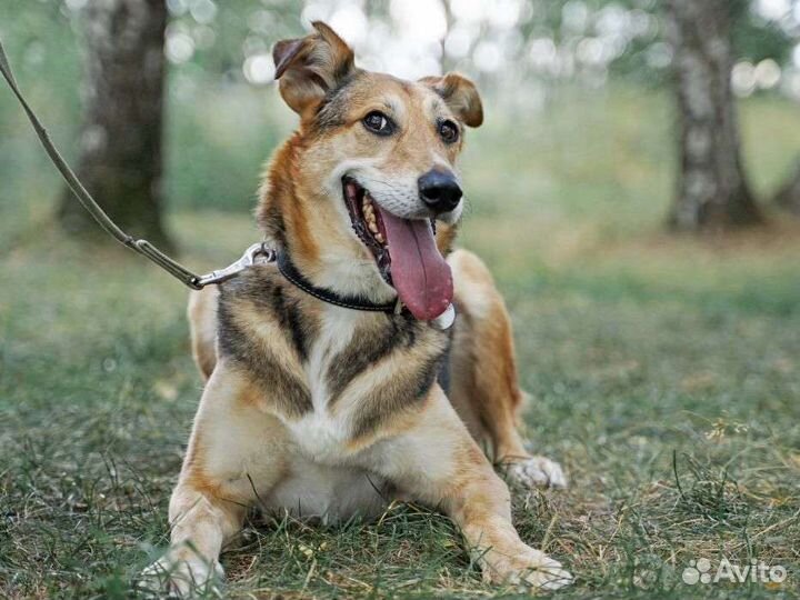 Патрика никто не замечает