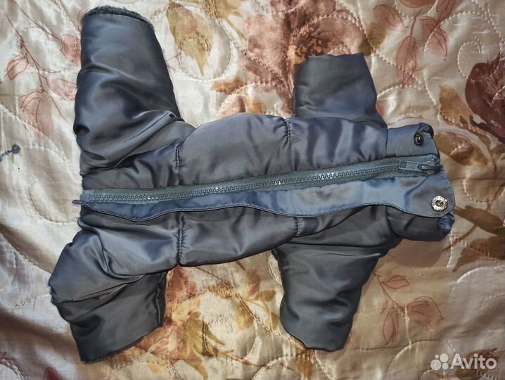 Продаю комбинезон для собаки