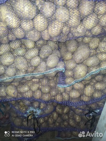 Картофель на корм животным