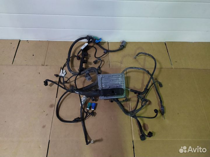 Проводка коса моторная Форд Фокус 2 1.6 л