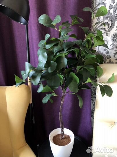 Фикус мокламе искусственный
