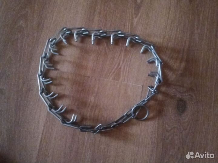 Строгий ошейник для собак