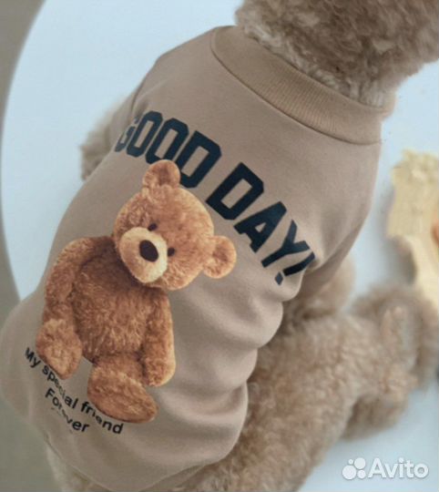 Одежда для собак