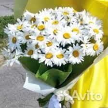 Полевые цветы ромашки