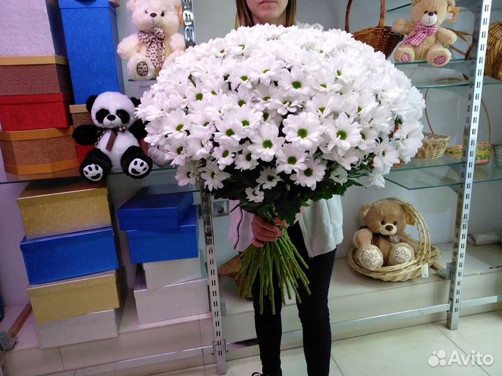 Букет из белых хризантем (про-во Голландия)