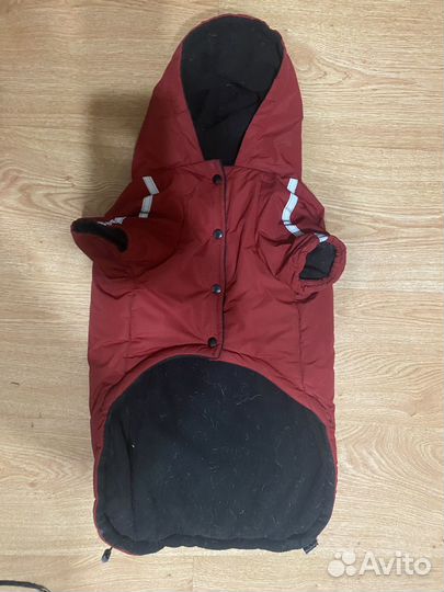 Попона для собак