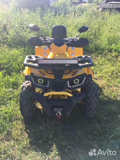 Avantis hunter 200 big premium