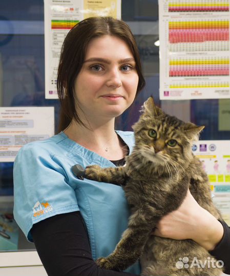 Ветеринарный врач на дом Вакцинация Круглосуточно