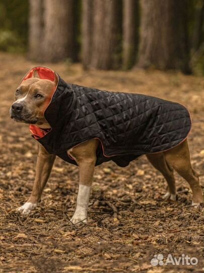 Куртка комбинензон для собаки