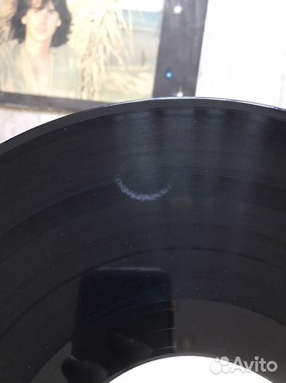 Виниловая пластинка