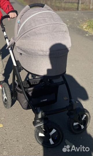 Коляска Baby design husky 3 в 1