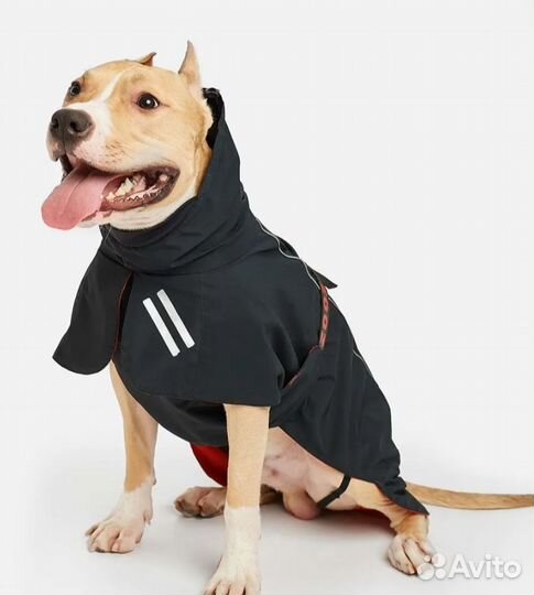 Попона-дождевик для собак, 60 см