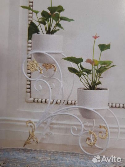 Цветочницы