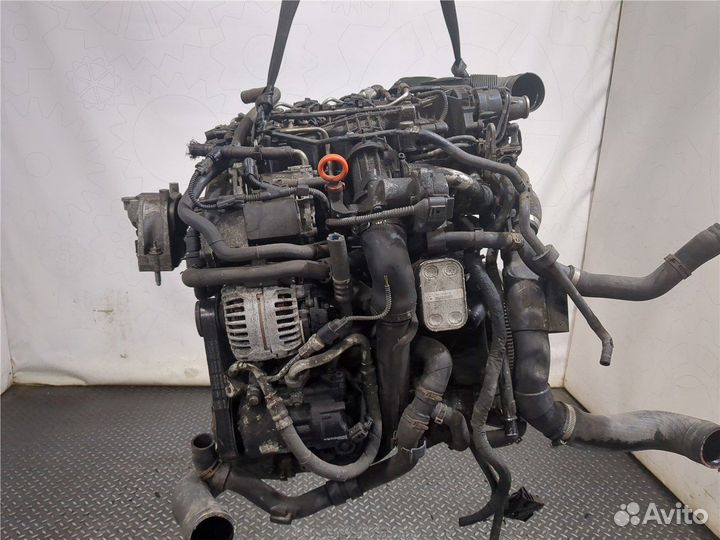 Двигатель Volkswagen Jetta 5, 2010