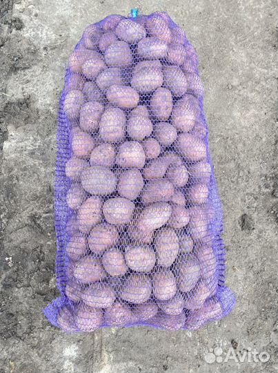 Картофель оптом от производителя