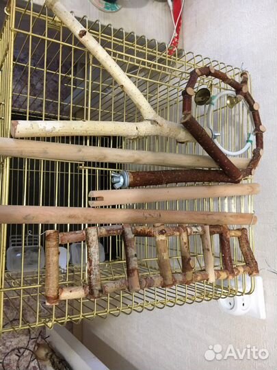 Золотая клетка для попугая + все аксессуры