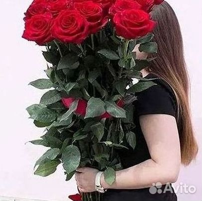 Высокие розы Гигантские розы 110