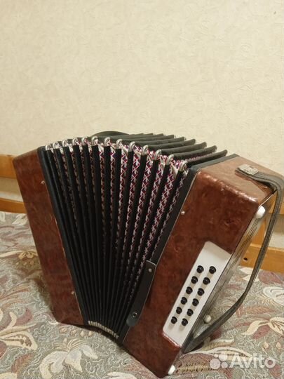 Гармонь Кубань