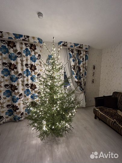 Шторы продаю комплект и тюль