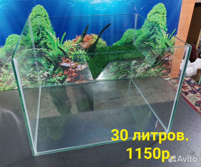 Аквариумы для черепах