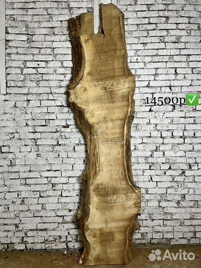 Слэб капового горного тополя