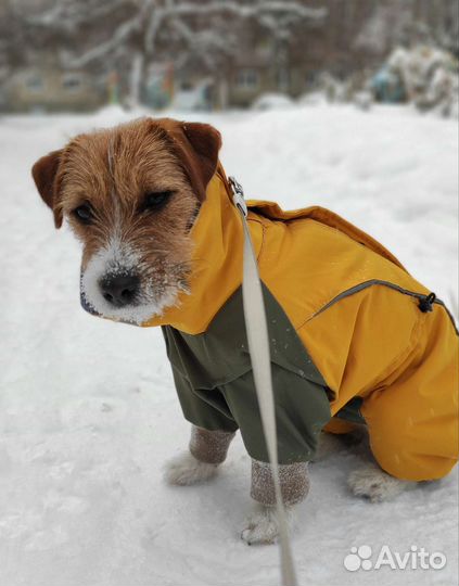 Теплая одежда (куртка, комбинезон) для собак