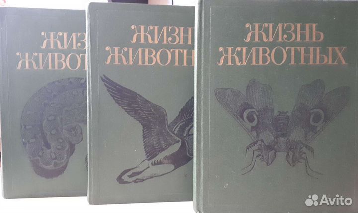 Жизнь животных