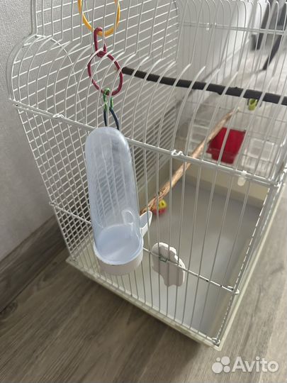Клетка для попугая