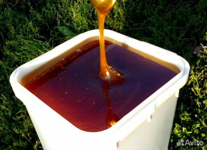 Мёд натуральный оптом