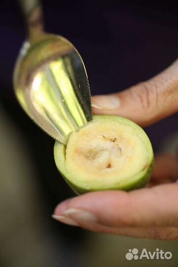 Замороженное пюре Фейхоа 1кг Агробар