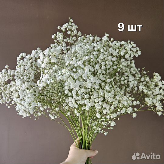 Букет из гипсофилы большой