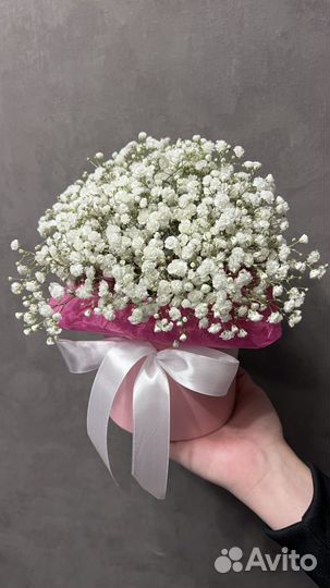 Гипсофила в коробке