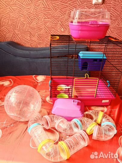 Всё, что нужно для хомяка